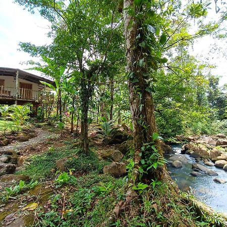 Cabana Vista Rio Celeste Ngoại thất bức ảnh