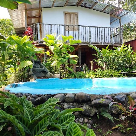 Cabana Vista Rio Celeste Ngoại thất bức ảnh
