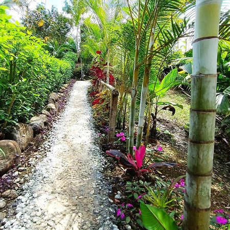 Cabana Vista Rio Celeste Ngoại thất bức ảnh