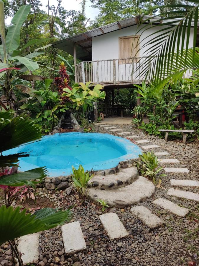 Cabana Vista Rio Celeste Ngoại thất bức ảnh