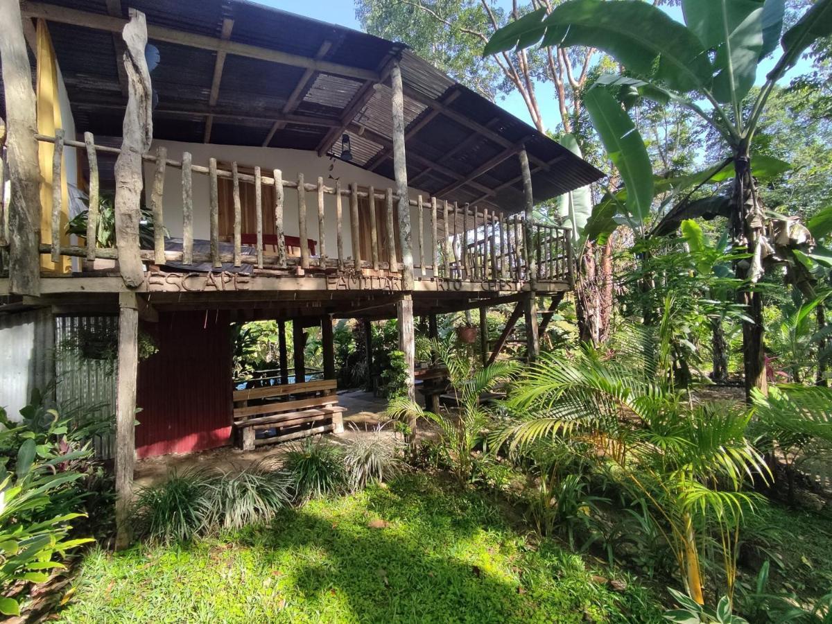 Cabana Vista Rio Celeste Ngoại thất bức ảnh