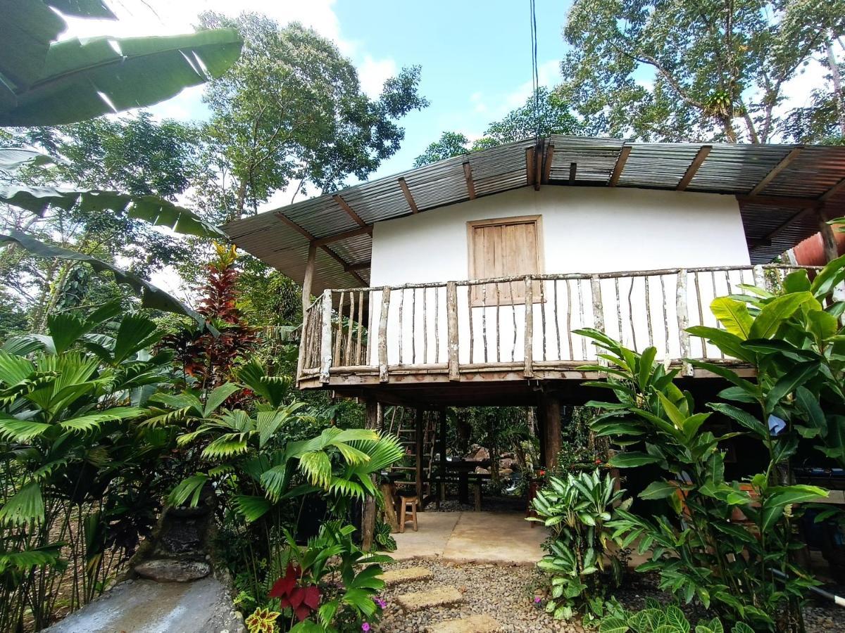 Cabana Vista Rio Celeste Ngoại thất bức ảnh