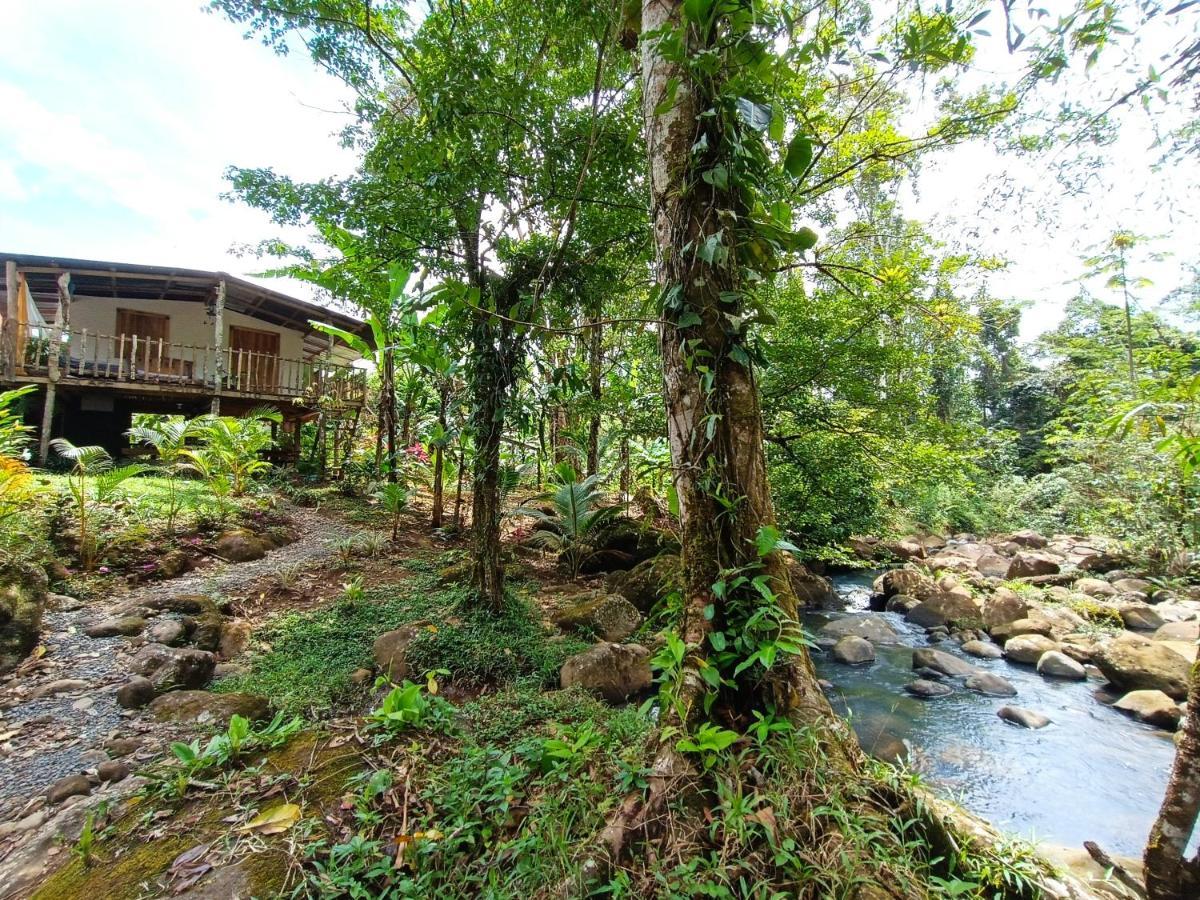 Cabana Vista Rio Celeste Ngoại thất bức ảnh