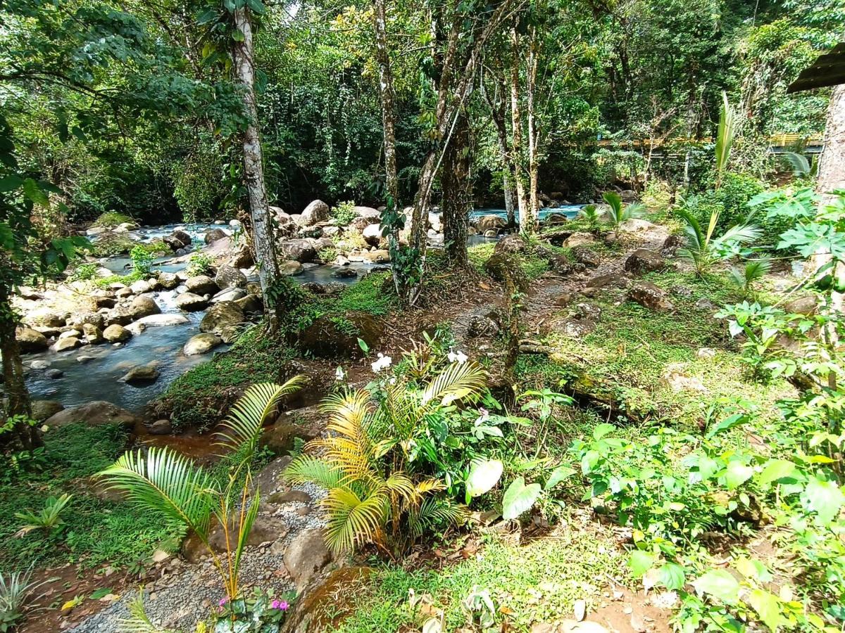 Cabana Vista Rio Celeste Ngoại thất bức ảnh