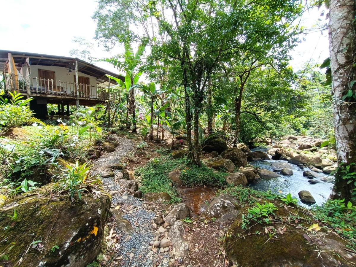Cabana Vista Rio Celeste Ngoại thất bức ảnh