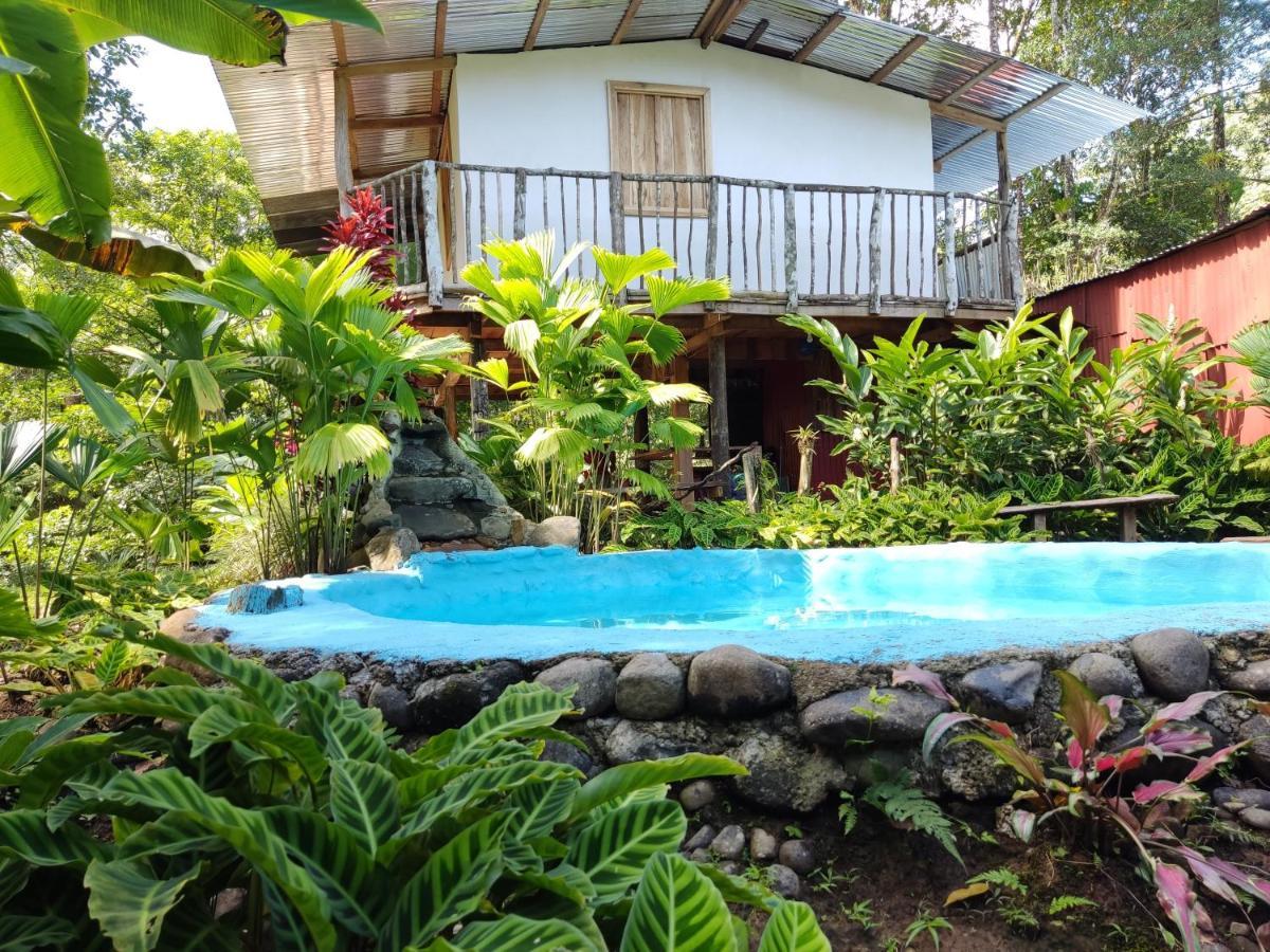 Cabana Vista Rio Celeste Ngoại thất bức ảnh