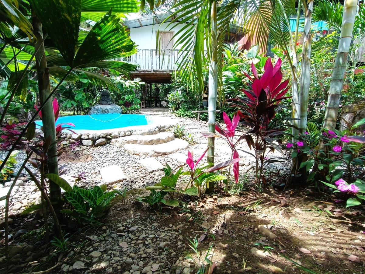 Cabana Vista Rio Celeste Ngoại thất bức ảnh