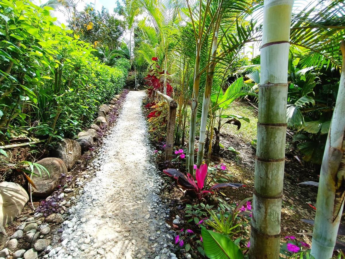 Cabana Vista Rio Celeste Ngoại thất bức ảnh