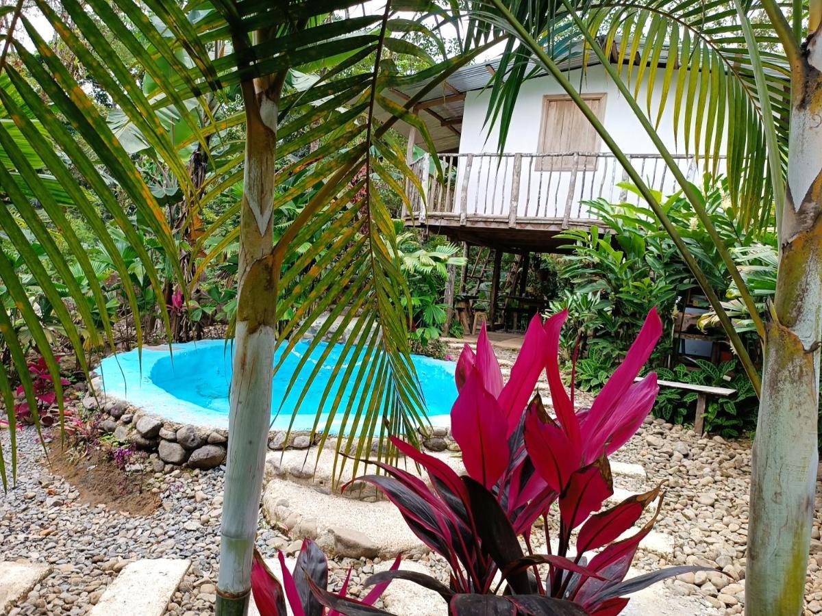 Cabana Vista Rio Celeste Ngoại thất bức ảnh