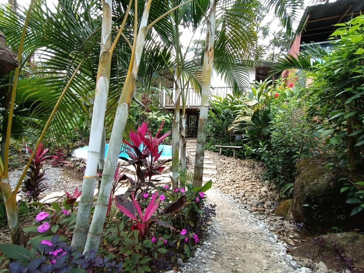 Cabana Vista Rio Celeste Ngoại thất bức ảnh