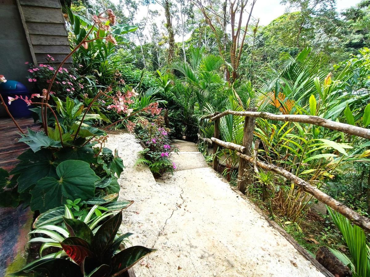 Cabana Vista Rio Celeste Ngoại thất bức ảnh