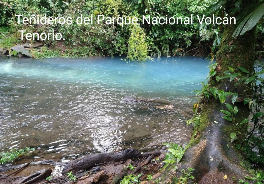 Cabana Vista Rio Celeste Ngoại thất bức ảnh